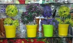 NEW FLOWERLAND in Coimbatore listed in Decorators & Florists