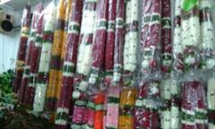 NEW FLOWERLAND in Coimbatore listed in Decorators & Florists