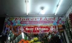 NEW FLOWERLAND in Coimbatore listed in Decorators & Florists
